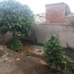 Duplex Fraternidade + Terraço — foto 14