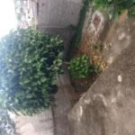 Duplex Fraternidade + Terraço — foto 13