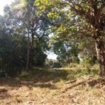 Chácara de 9 Mil mts² – Próximo ao Rancho Glória — foto 4