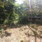 Chácara de 9 Mil mts² – Próximo ao Rancho Glória — foto 5