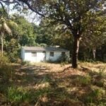 Chácara de 9 Mil mts² – Próximo ao Rancho Glória — foto 1