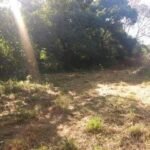 Chácara de 9 Mil mts² – Próximo ao Rancho Glória — foto 14