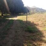 Chácara de 9 Mil mts² – Próximo ao Rancho Glória — foto 13
