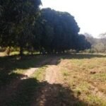 Chácara de 9 Mil mts² – Próximo ao Rancho Glória — foto 12
