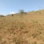 Chácara de 9 Mil mts² – Próximo ao Rancho Glória — foto 11