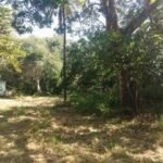 Chácara de 9 Mil mts² – Próximo ao Rancho Glória — foto 8