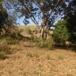Chácara de 9 Mil mts² – Próximo ao Rancho Glória — foto 7