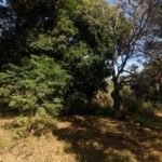Chácara de 9 Mil mts² – Próximo ao Rancho Glória — foto 6