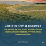 Chacreamento Pontal das Águas — foto 3