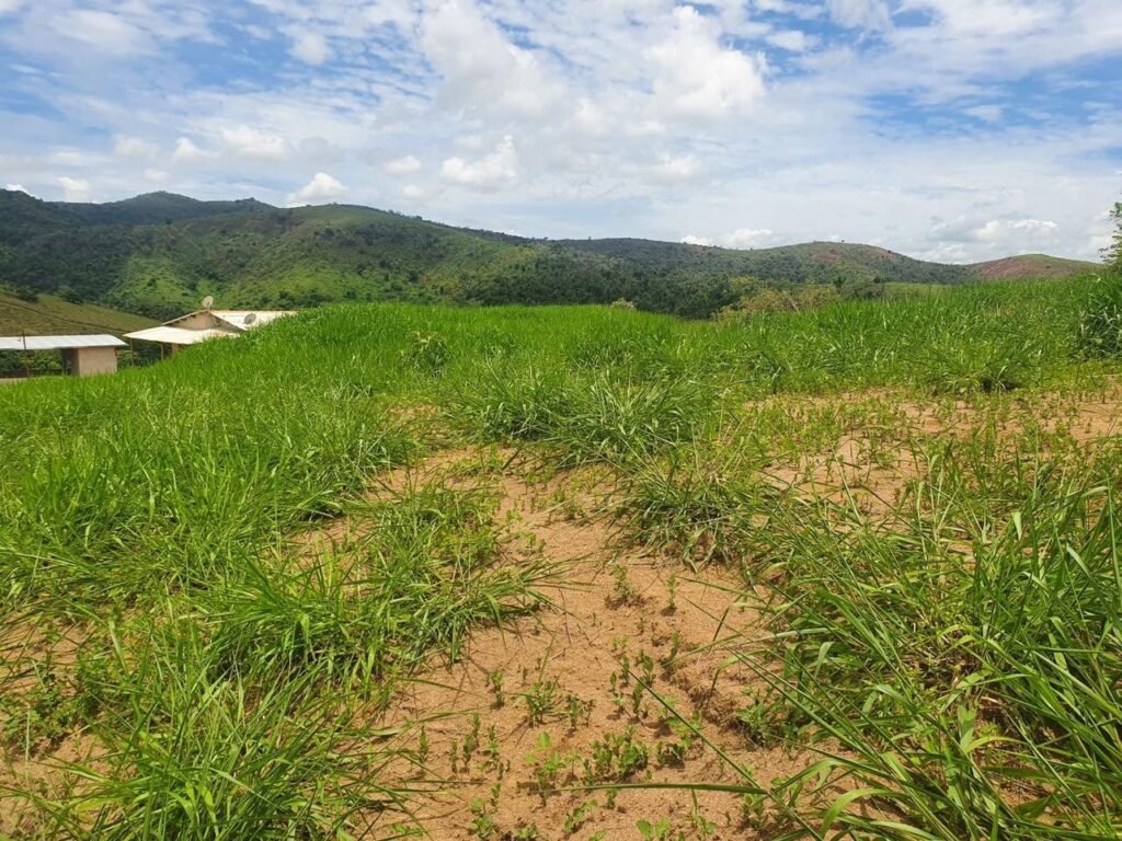 Chácara em Pontal de 1 Mil Mts² — foto 2