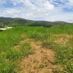 Chácara em Pontal de 1 Mil Mts² — foto 2