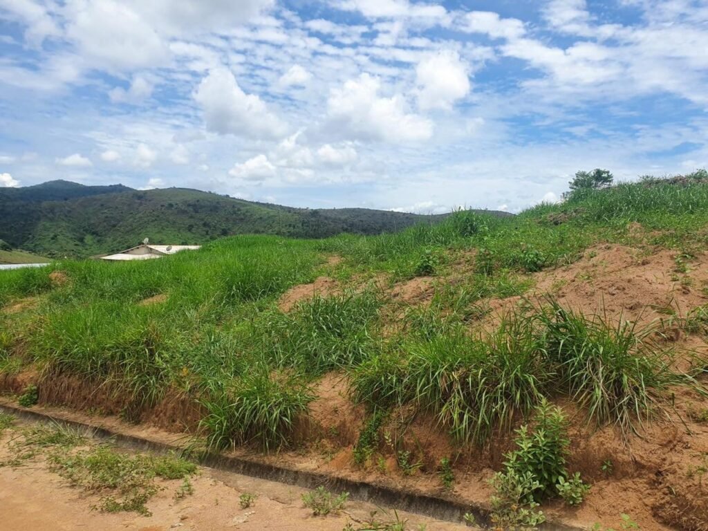 Chácara em Pontal de 1 Mil Mts² — foto 5