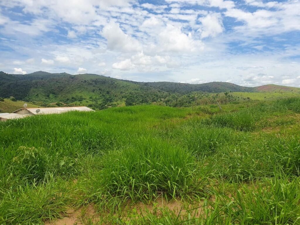 Chácara em Pontal de 1 Mil Mts² — foto 1