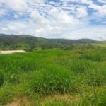 Chácara em Pontal de 1 Mil Mts² — foto 1
