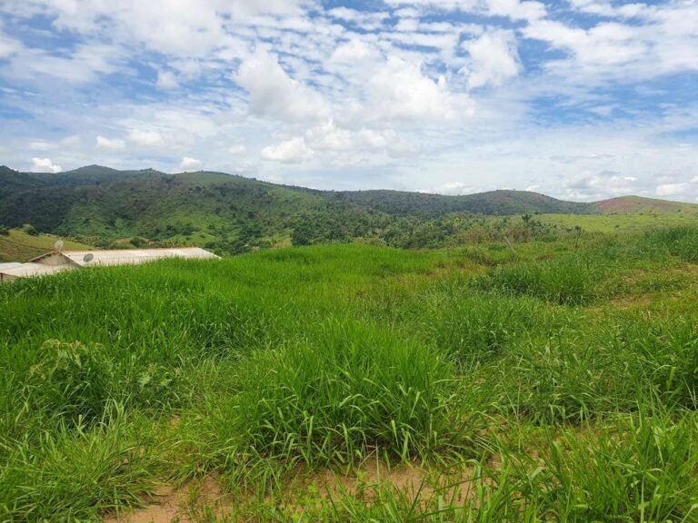 Chácara em Pontal de 1 Mil Mts² — foto 1