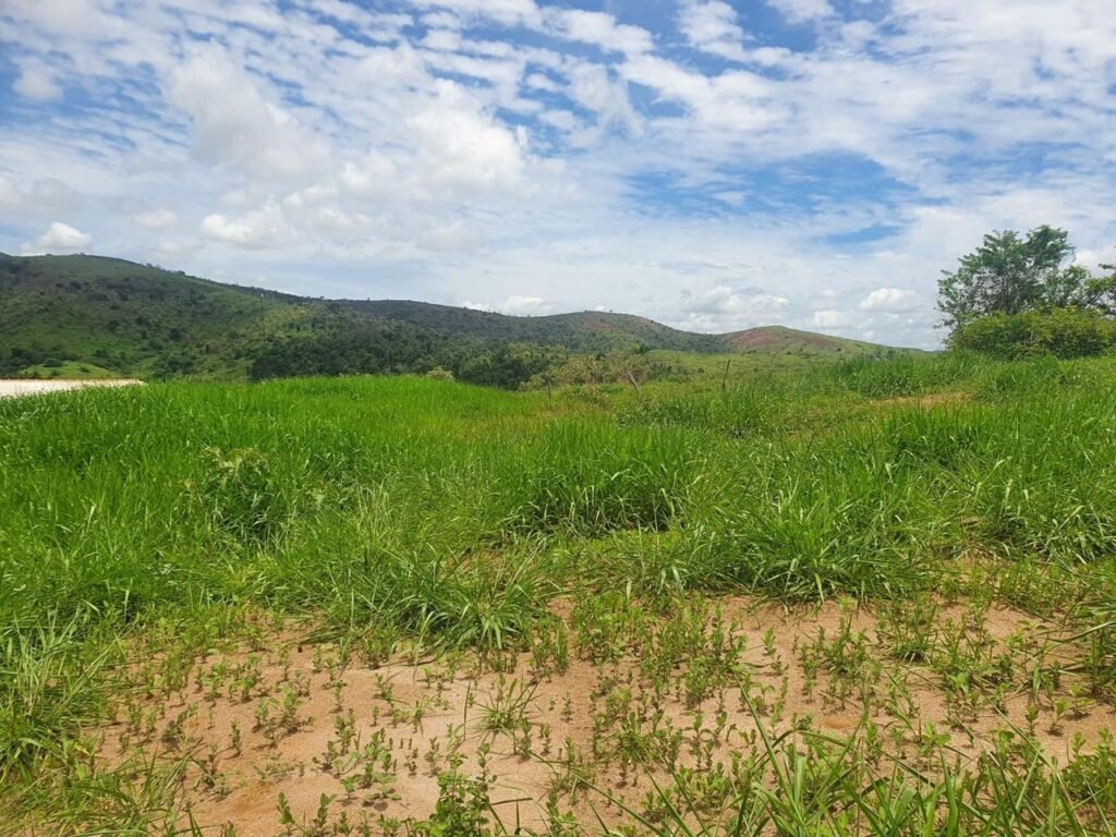 Chácara em Pontal de 1 Mil Mts² — foto 4