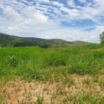 Chácara em Pontal de 1 Mil Mts² — foto 4