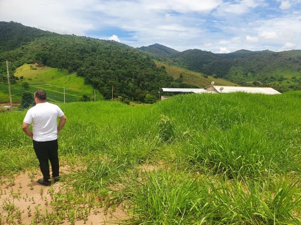 Chácara em Pontal de 1 Mil Mts² — foto 8
