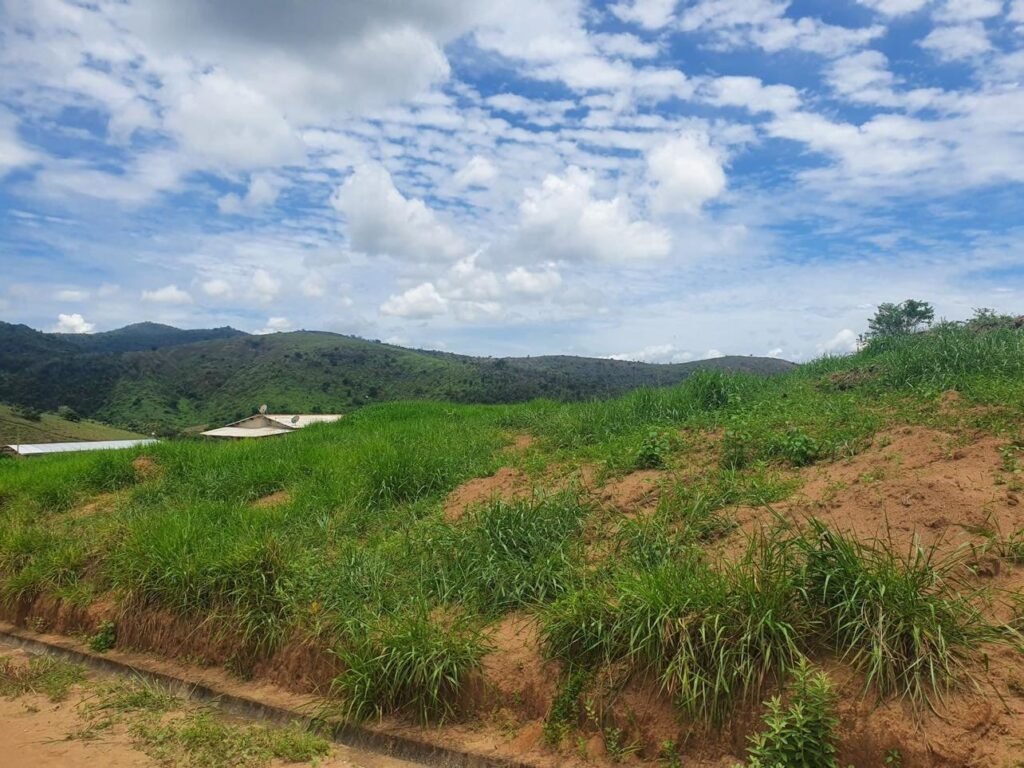 Chácara em Pontal de 1 Mil Mts² — foto 7
