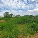Chácara em Pontal de 1 Mil Mts² — foto 6