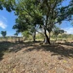 Chácara de 5 Mil mts² – Antes do Posto Cherokee – 01 — foto 2