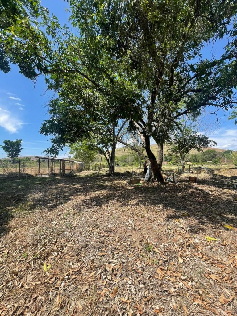 Chácara de 5 Mil mts² – Antes do Posto Cherokee – 01 — foto 2