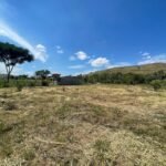 Chácara de 5 Mil mts² – Antes do Posto Cherokee – 01 — foto 10