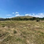 Chácara de 5 mil mts² – Antes do Posto Cherokee – 02 — foto 2