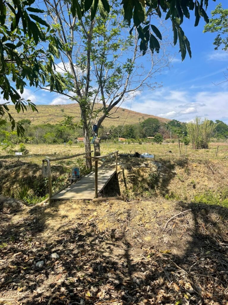 Chácara de 5 Mil mts² – Antes do Posto Cherokee – 01 — foto 1
