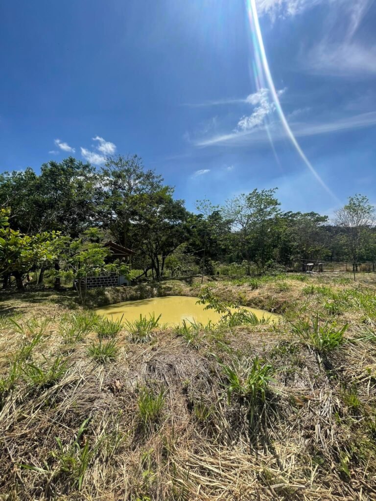 Chácara de 5 mil mts² – Antes do Posto Cherokee – 02 — foto 13