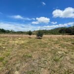 Chácara de 5 mil mts² – Antes do Posto Cherokee – 02 — foto 4