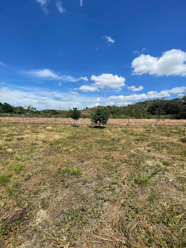 Chácara de 5 mil mts² – Antes do Posto Cherokee – 02 — foto 11