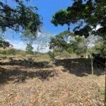 Chácara de 5 Mil mts² – Antes do Posto Cherokee – 01 — foto 4