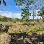 Chácara de 5 Mil mts² – Antes do Posto Cherokee – 01 — foto 3