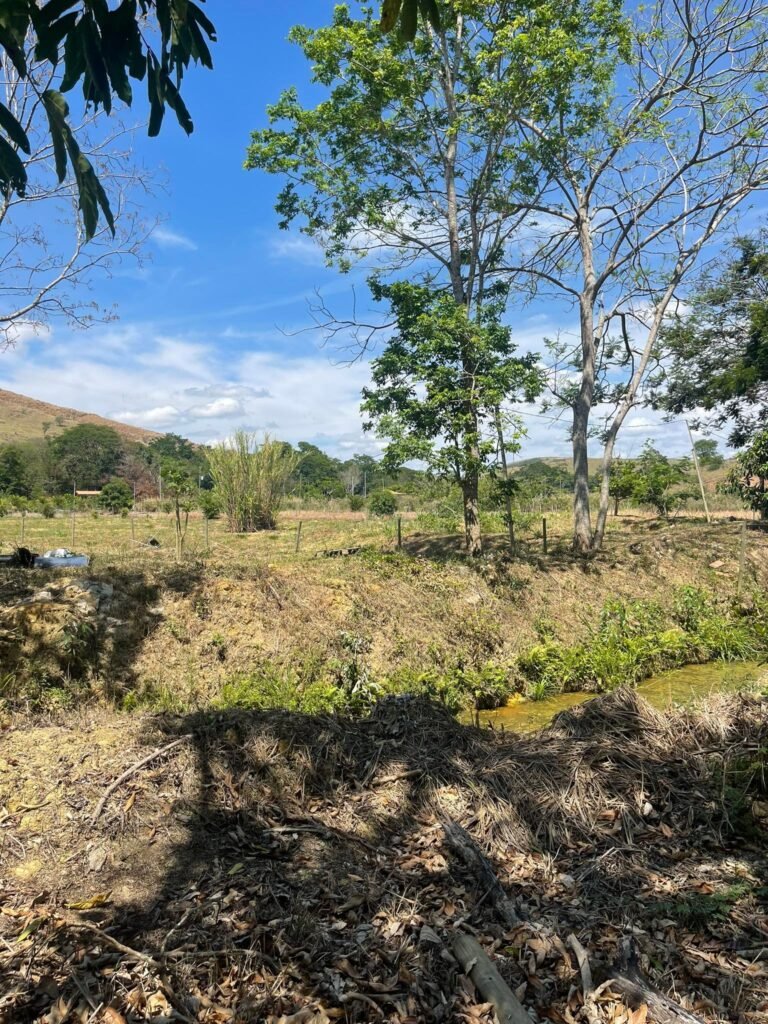 Chácara de 5 Mil mts² – Antes do Posto Cherokee – 01 — foto 3