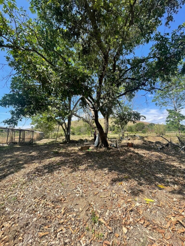 Chácara de 5 Mil mts² – Antes do Posto Cherokee – 01 — foto 7