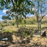 Chácara de 5 Mil mts² – Antes do Posto Cherokee – 01 — foto 6