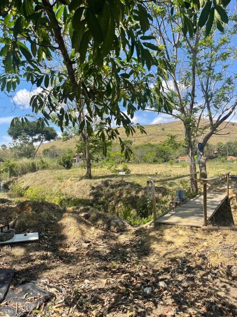 Chácara de 5 Mil mts² – Antes do Posto Cherokee – 01 — foto 6