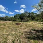 Chácara de 5 mil mts² – Antes do Posto Cherokee – 02 — foto 5
