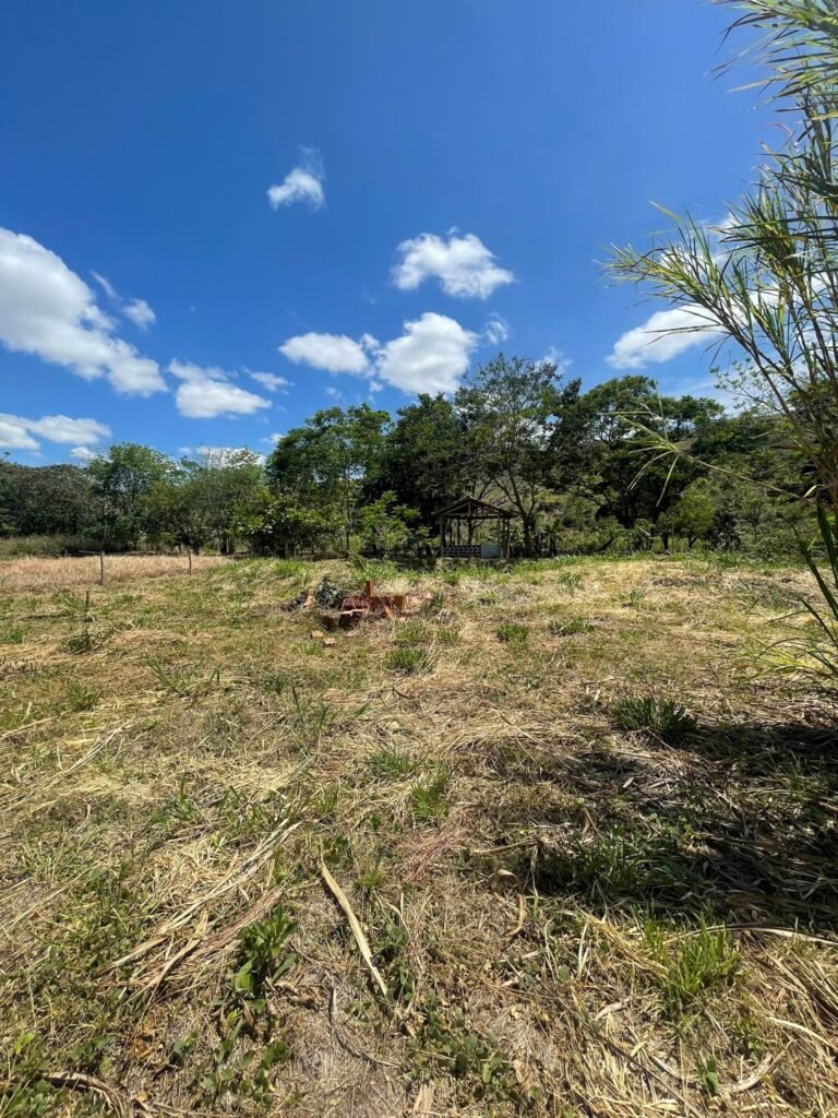 Chácara de 5 mil mts² – Antes do Posto Cherokee – 02 — foto 5