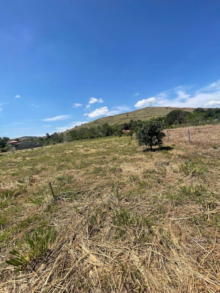 Chácara de 5 mil mts² – Antes do Posto Cherokee – 02 — foto 3