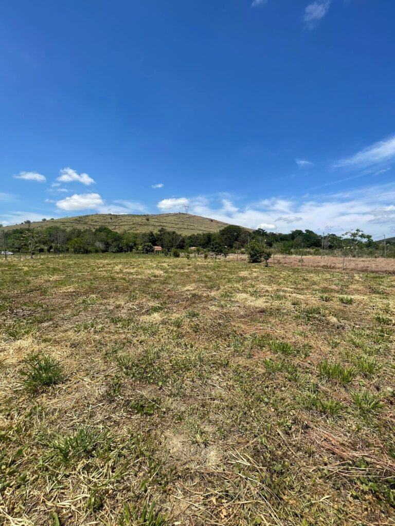 Chácara de 5 mil mts² – Antes do Posto Cherokee – 02 — foto 7