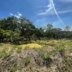 Chácara de 5 mil mts² – Antes do Posto Cherokee – 02 — foto 1