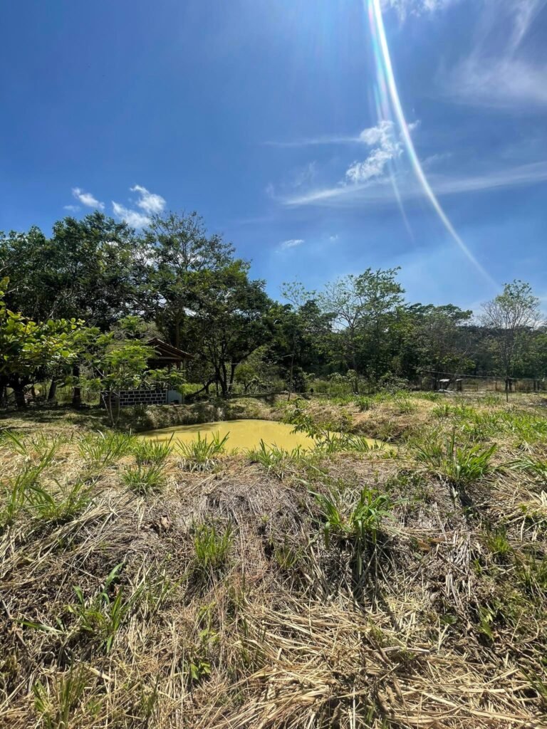 Chácara de 5 mil mts² – Antes do Posto Cherokee – 02 — foto 1