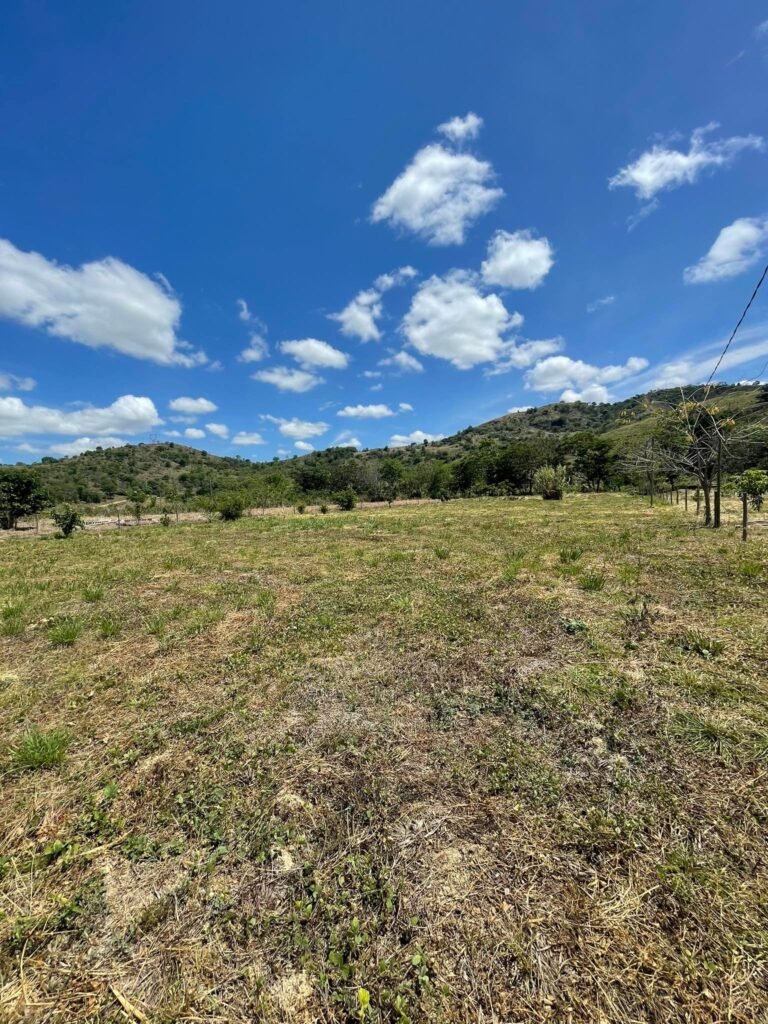 Chácara de 5 mil mts² – Antes do Posto Cherokee – 02 — foto 6