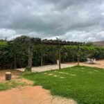 Chácara Formada próximo ao Posto Cherokee — foto 25