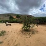 Chácara Formada próximo ao Posto Cherokee — foto 17