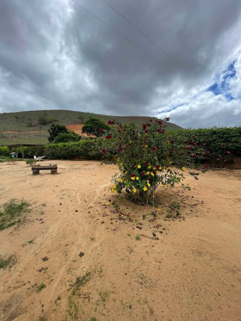 Chácara Formada próximo ao Posto Cherokee — foto 17