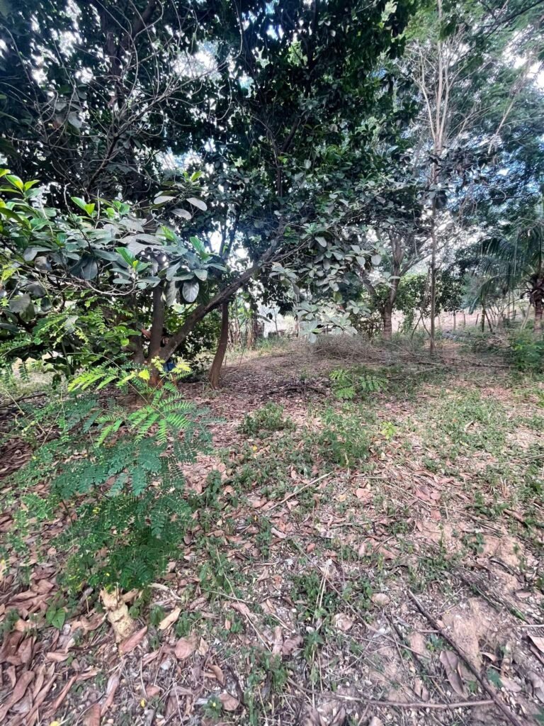 Chácara de 2.000 mts2 no Recanto dos Sonhos — foto 2