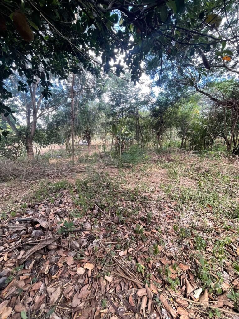 Chácara de 2.000 mts2 no Recanto dos Sonhos — foto 3